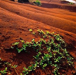 《光环1：战斗进化》重制版有望采用双引擎：虚幻5+Blam